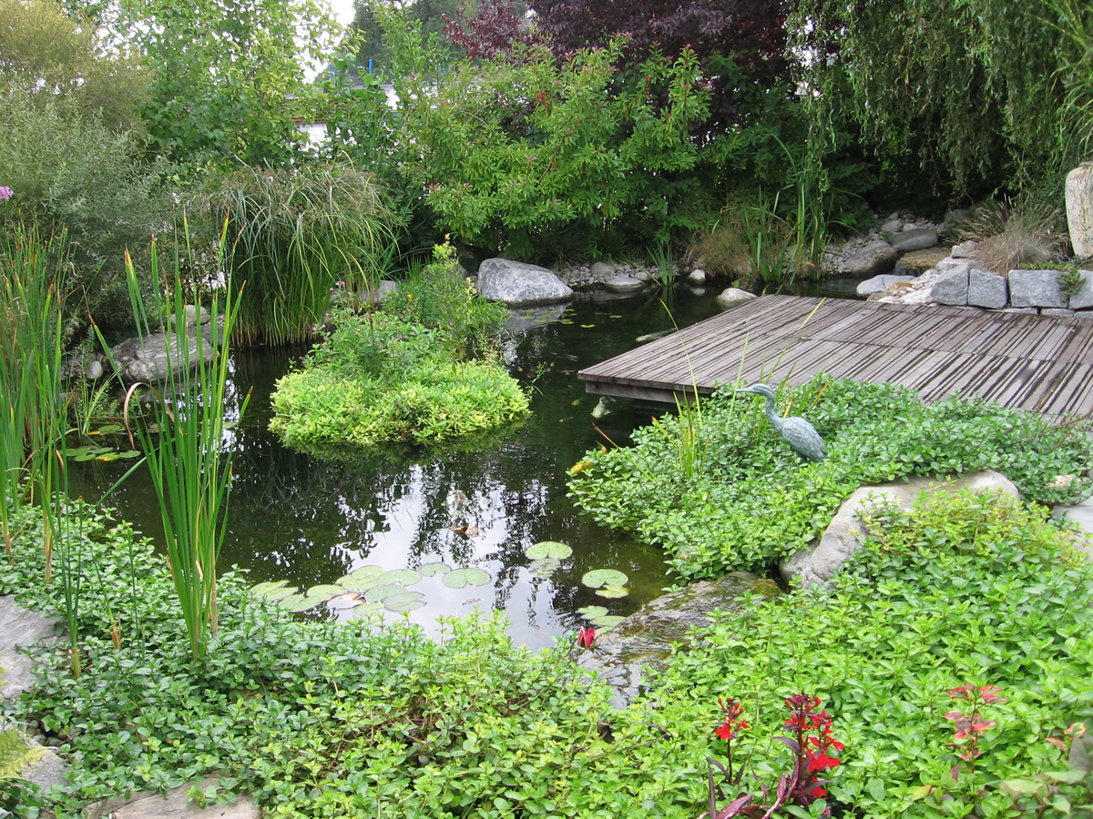 Teich & Gartenteich von Teichbau Moseler . Ihr Spezialist für Teiche